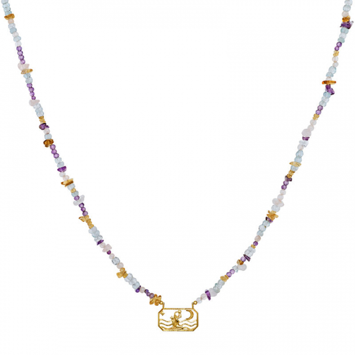 Zodiac Air Aquarius Necklaces (Gold) in the group Necklaces / Gold Necklaces at SCANDINAVIAN JEWELRY DESIGN (2634a)