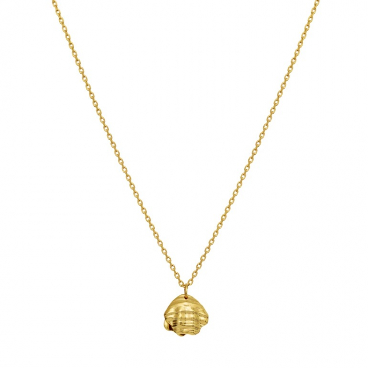 MARNIE Necklace Gold in the group Necklaces / Gold Necklaces at SCANDINAVIAN JEWELRY DESIGN (2693A)