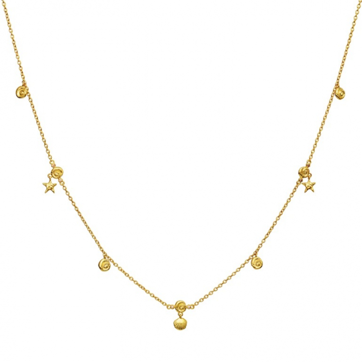 LEILANI Necklace Gold in the group Necklaces / Gold Necklaces at SCANDINAVIAN JEWELRY DESIGN (2696A)