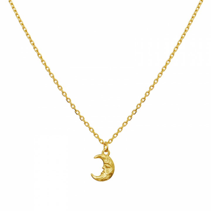 Aila Necklace Gold in the group Necklaces / Gold Necklaces at SCANDINAVIAN JEWELRY DESIGN (2805A)