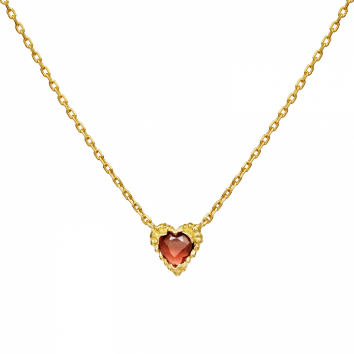 Leoni Necklace Gold in the group Necklaces / Gold Necklaces at SCANDINAVIAN JEWELRY DESIGN (2807A)