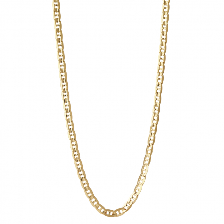 Carlo Necklace 50 Goldplated Silver (One) in the group Necklaces / Gold Necklaces at SCANDINAVIAN JEWELRY DESIGN (300340-50)