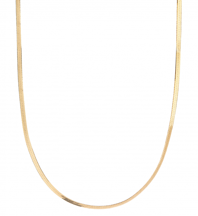 Mio Chain Goldplated Silver (One) in the group Necklaces / Gold Necklaces at SCANDINAVIAN JEWELRY DESIGN (300380YG)