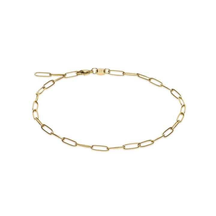 G Link 22-27 cm in the group Accessories / Anklet at SCANDINAVIAN JEWELRY DESIGN (34-23950-00)