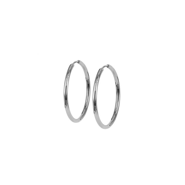 MAXI 20mm Earrings Steel in the group Earrings / Silver Earrings at SCANDINAVIAN JEWELRY DESIGN (358948)