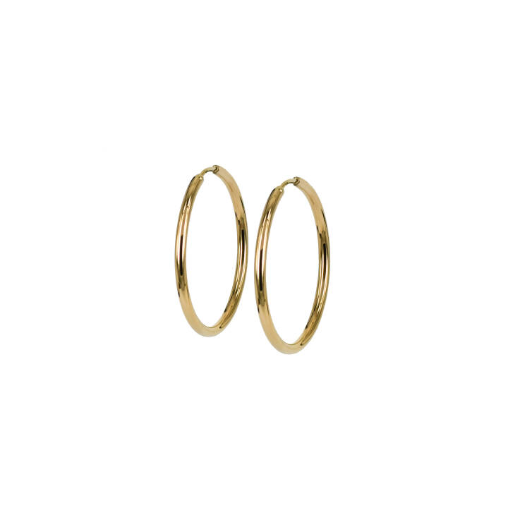MAXI 20mm Earrings Gold  in the group Earrings / Gold Earrings at SCANDINAVIAN JEWELRY DESIGN (358955)