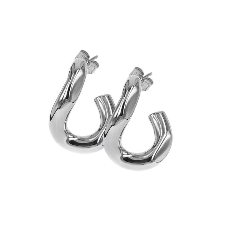 ZOE Earrings Steel in the group Earrings / Silver Earrings at SCANDINAVIAN JEWELRY DESIGN (359006)