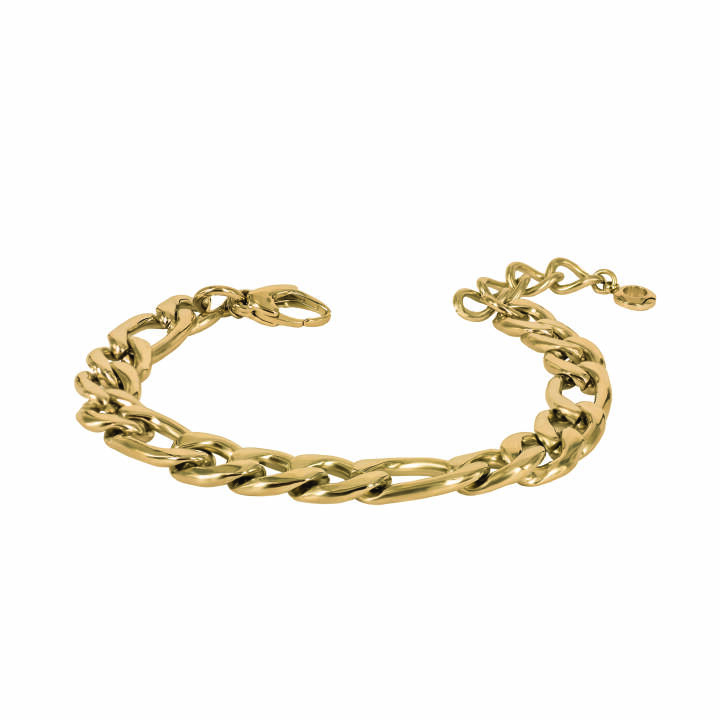 SASHA Bracelets Gold in the group Bracelets at SCANDINAVIAN JEWELRY DESIGN (359648)