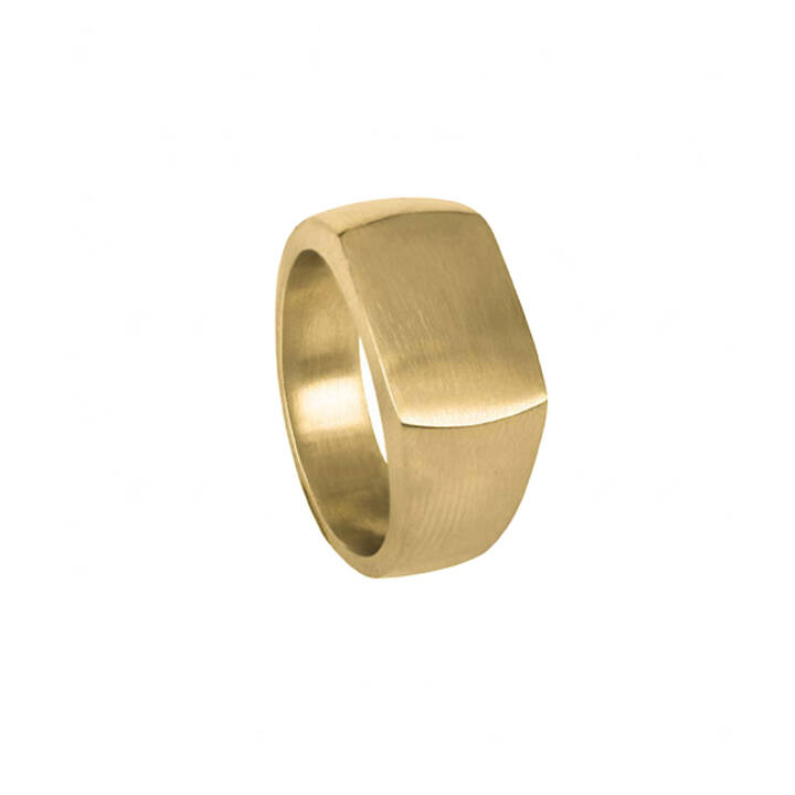 TOM Gold ring in the group Rings at SCANDINAVIAN JEWELRY DESIGN (364413V)