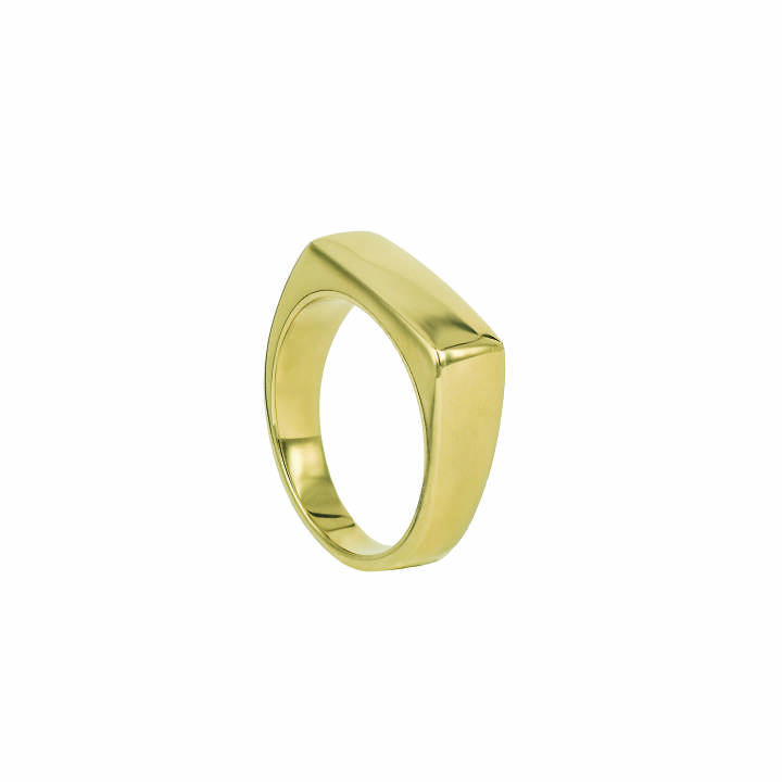 TIM Gold ring in the group Rings at SCANDINAVIAN JEWELRY DESIGN (365359V)