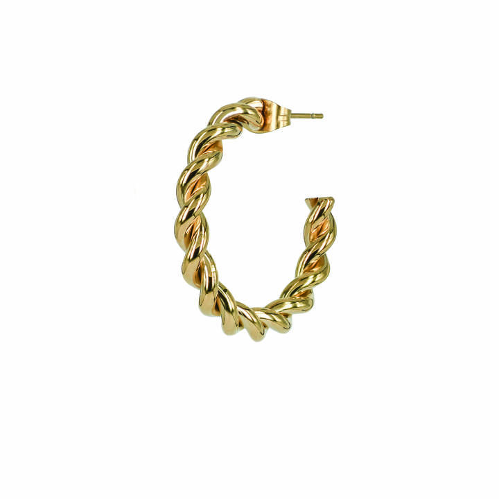 LEO Earrings Gold in the group Earrings / Gold Earrings at SCANDINAVIAN JEWELRY DESIGN (365588)