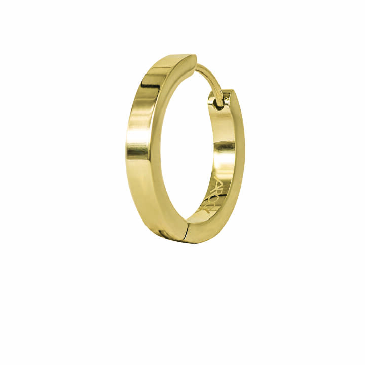 WILLE Earrings Blankt Gold in the group Earrings / Gold Earrings at SCANDINAVIAN JEWELRY DESIGN (365694)