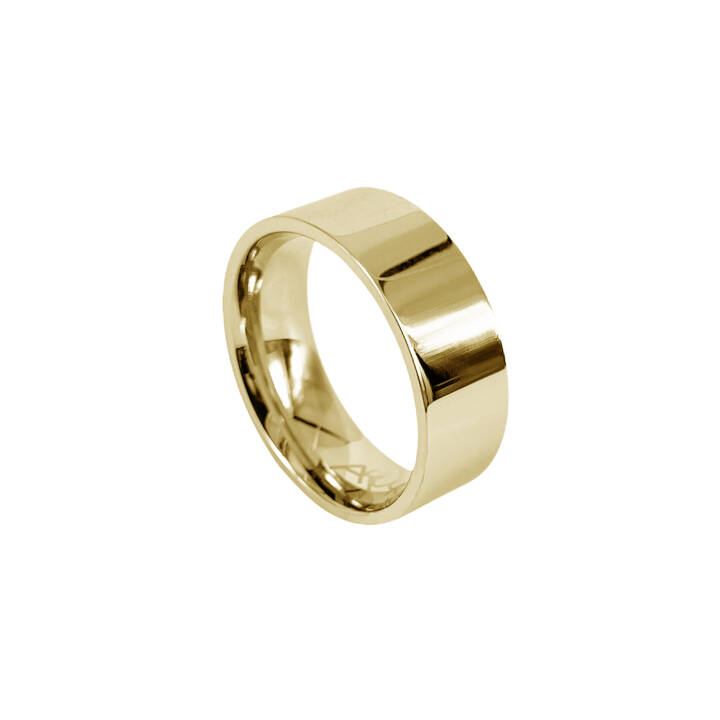 WALTER Blankt Gold ring in the group Rings at SCANDINAVIAN JEWELRY DESIGN (365960V)