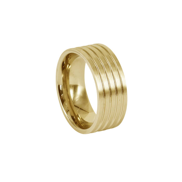 DAVE Gold ring in the group Rings at SCANDINAVIAN JEWELRY DESIGN (366080V)