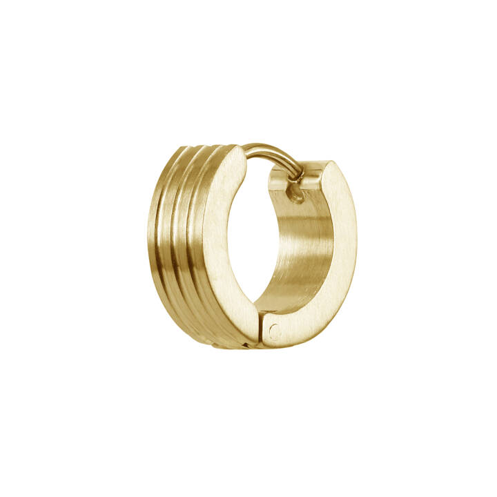 DAVE Earrings Gold in the group Earrings / Gold Earrings at SCANDINAVIAN JEWELRY DESIGN (366257)