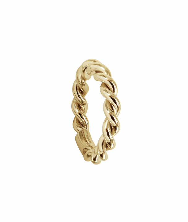 TERRY Ring Gold in the group Rings / Gold Rings at SCANDINAVIAN JEWELRY DESIGN (368404R)