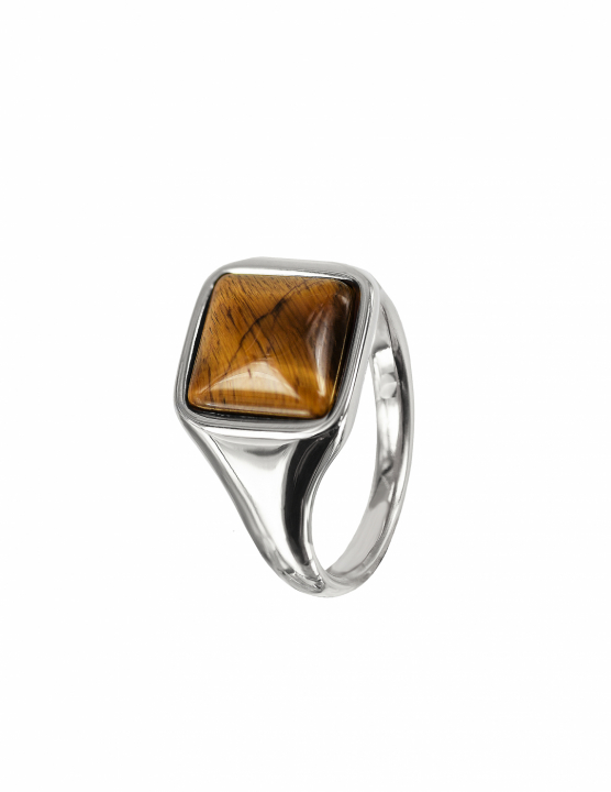 NEO Ring Stål/Brun in the group Rings / Silver Rings at SCANDINAVIAN JEWELRY DESIGN (368787R)