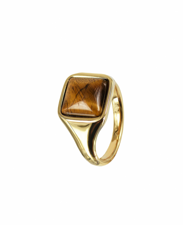 NEO Ring Gold/Brun in the group Rings / Gold Rings at SCANDINAVIAN JEWELRY DESIGN (368855R)