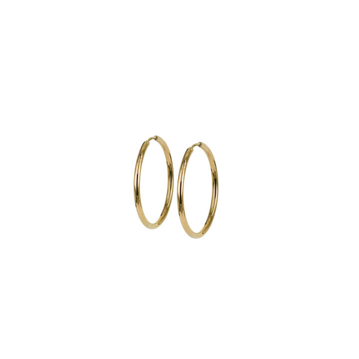 MAXI 14mm Earrings Gold in the group Earrings / Gold Earrings at SCANDINAVIAN JEWELRY DESIGN (370131)
