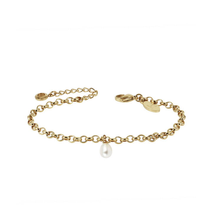 PALMA Single Bracelets Gold in the group Bracelets at SCANDINAVIAN JEWELRY DESIGN (370278)