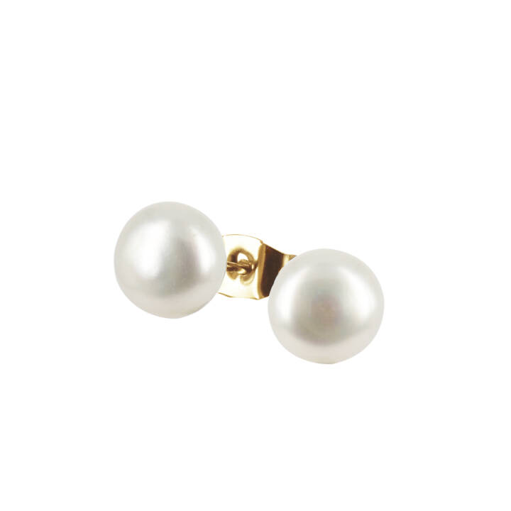 PALMA Stud Medium Earrings Gold in the group Earrings / Pearl Earrings at SCANDINAVIAN JEWELRY DESIGN (370315)