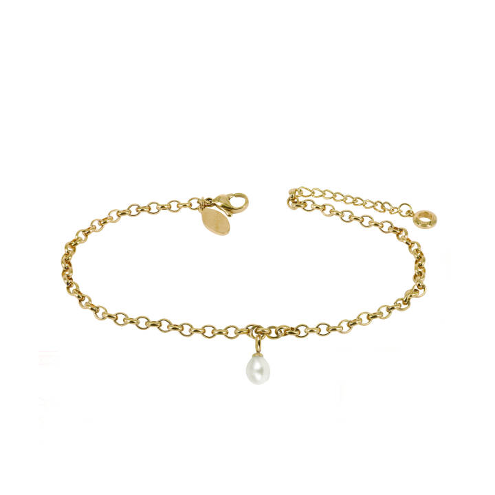 PALMA Single ANKLET Bracelets Gold in the group Accessories / Anklet at SCANDINAVIAN JEWELRY DESIGN (370445)