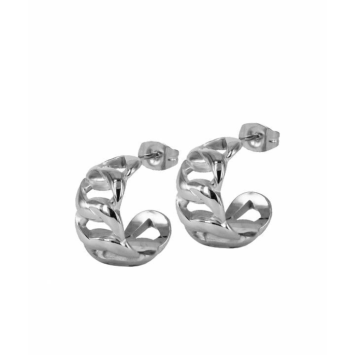 ASTRID Earrings Steel in the group Earrings / Silver Earrings at SCANDINAVIAN JEWELRY DESIGN (370735)