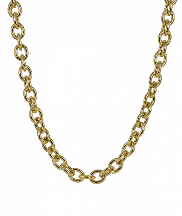 RUBY Necklaces Gold in the group Necklaces at SCANDINAVIAN JEWELRY DESIGN (371831)