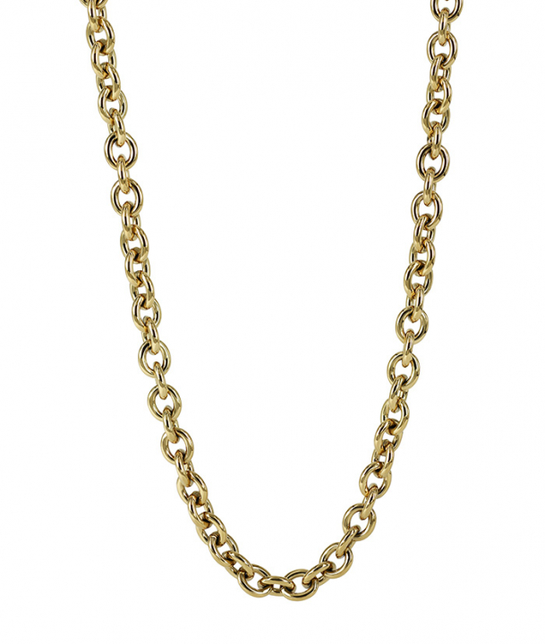 RUBY Small Necklaces Gold in the group Necklaces / Gold Necklaces at SCANDINAVIAN JEWELRY DESIGN (372999)