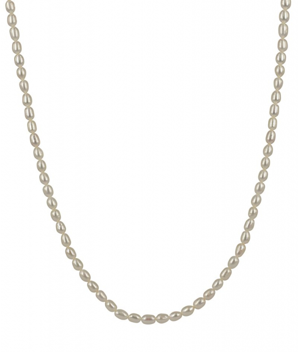 PALMA Långt Necklace Gold 70+8cm in the group Necklaces / Gold Necklaces at SCANDINAVIAN JEWELRY DESIGN (373491)