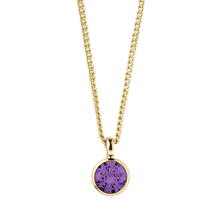 ETTE Gold AMETHYST in the group Necklaces / Gold Necklaces at SCANDINAVIAN JEWELRY DESIGN (390005)