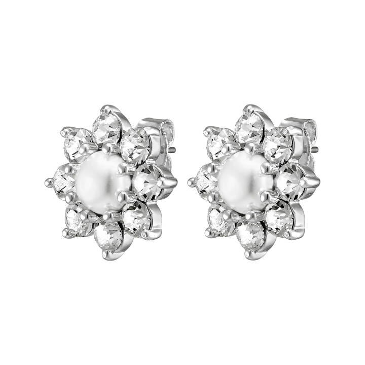 ROSETTA Silver WHITE in the group Earrings / Pearl Earrings at SCANDINAVIAN JEWELRY DESIGN (390043)
