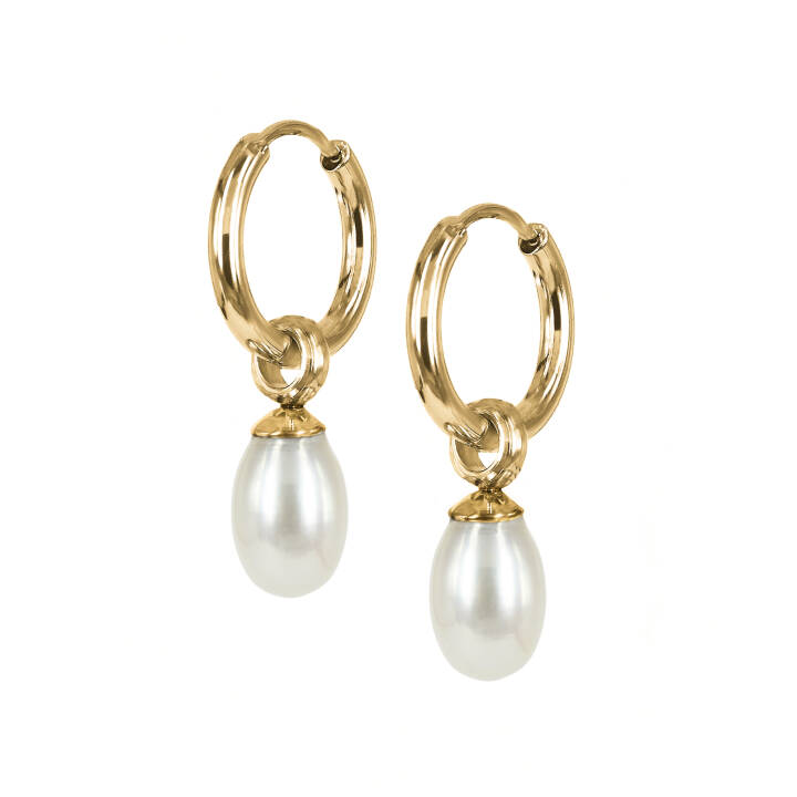 PALMA Earrings Gold in the group Earrings / Pearl Earrings at SCANDINAVIAN JEWELRY DESIGN (400104)