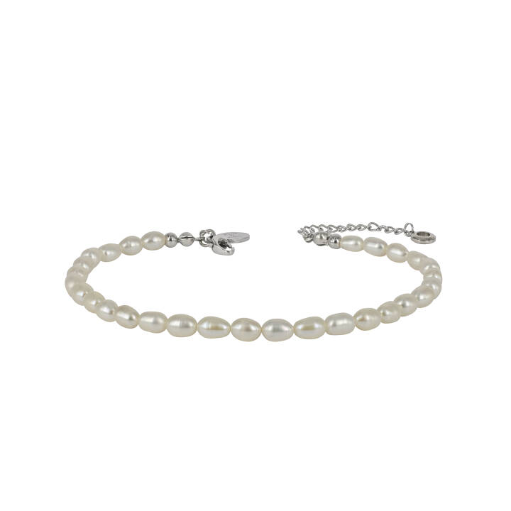PALMA ANKKLET Bracelets Steel in the group Accessories / Anklet at SCANDINAVIAN JEWELRY DESIGN (400111)