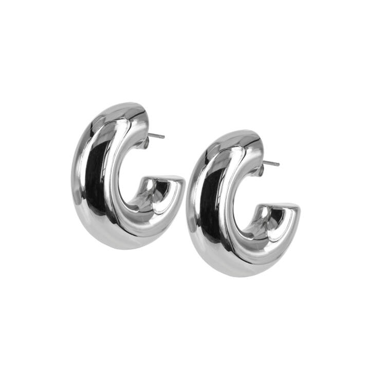 SIA Earrings Steel in the group Earrings / Silver Earrings at SCANDINAVIAN JEWELRY DESIGN (400555)