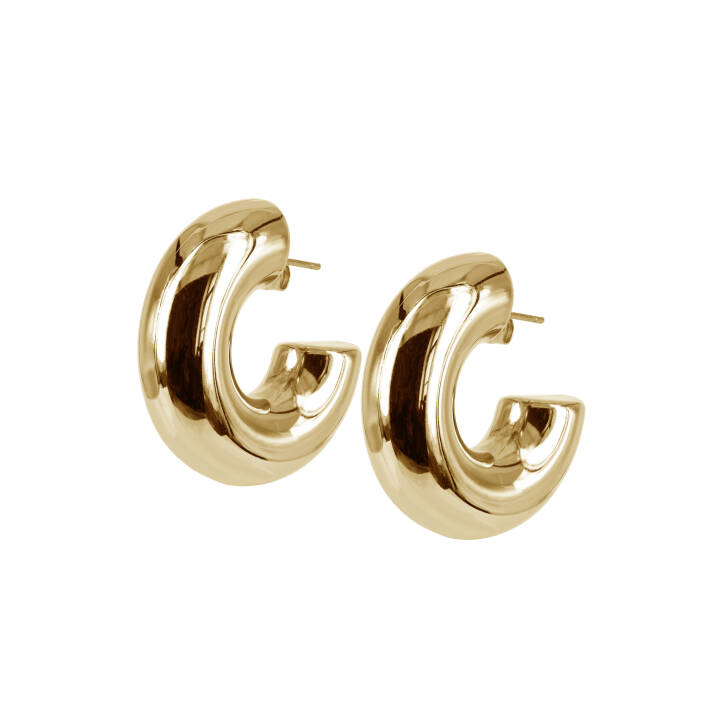 SIA Earrings Gold in the group Earrings / Gold Earrings at SCANDINAVIAN JEWELRY DESIGN (400562)