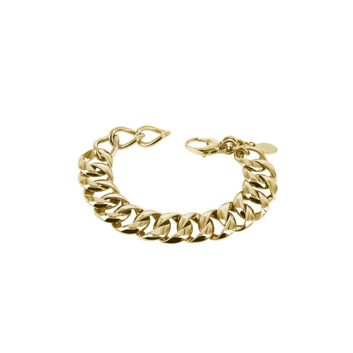 ASTRID Bracelets Gold in the group Bracelets / Gold Bracelets at SCANDINAVIAN JEWELRY DESIGN (400685)