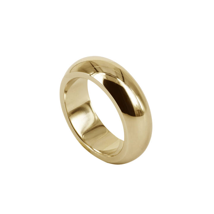 SIA Gold ring in the group Rings at SCANDINAVIAN JEWELRY DESIGN (400722V)
