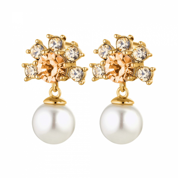 VERONICA PEACH Gold in the group Earrings / Pearl Earrings at SCANDINAVIAN JEWELRY DESIGN (420025)