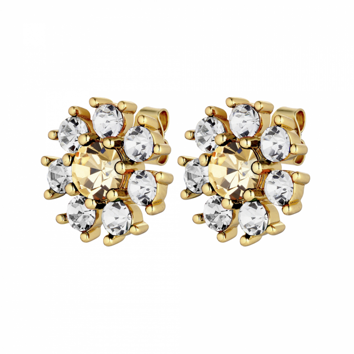 AUDE Gold GOLDEN / CRYSTAL Earring in the group Earrings / Gold Earrings at SCANDINAVIAN JEWELRY DESIGN (430070)