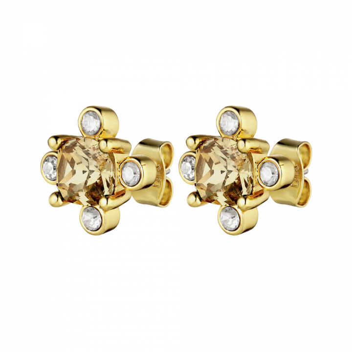 GIGI Gold GOLDEN Earring in the group Earrings / Gold Earrings at SCANDINAVIAN JEWELRY DESIGN (430071)