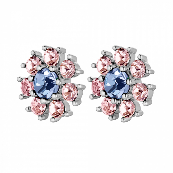 AUDE Silver L.BLUE/ROSE in the group Earrings / Silver Earrings at SCANDINAVIAN JEWELRY DESIGN (440038)