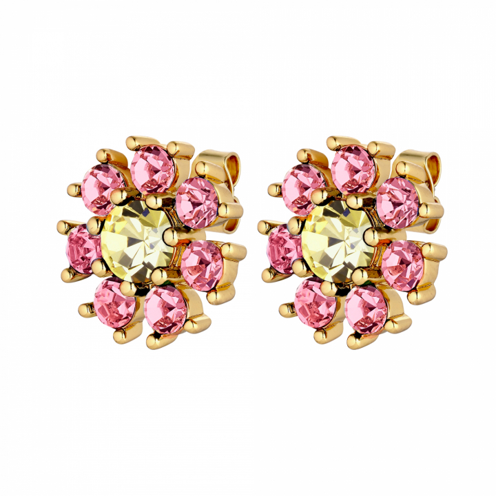 AUDE Gold YELLOW/ROSE in the group Earrings / Gold Earrings at SCANDINAVIAN JEWELRY DESIGN (440040)