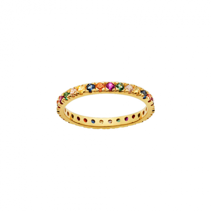 Pari Ring Gold in the group Rings / Gold Rings at SCANDINAVIAN JEWELRY DESIGN (4401A)