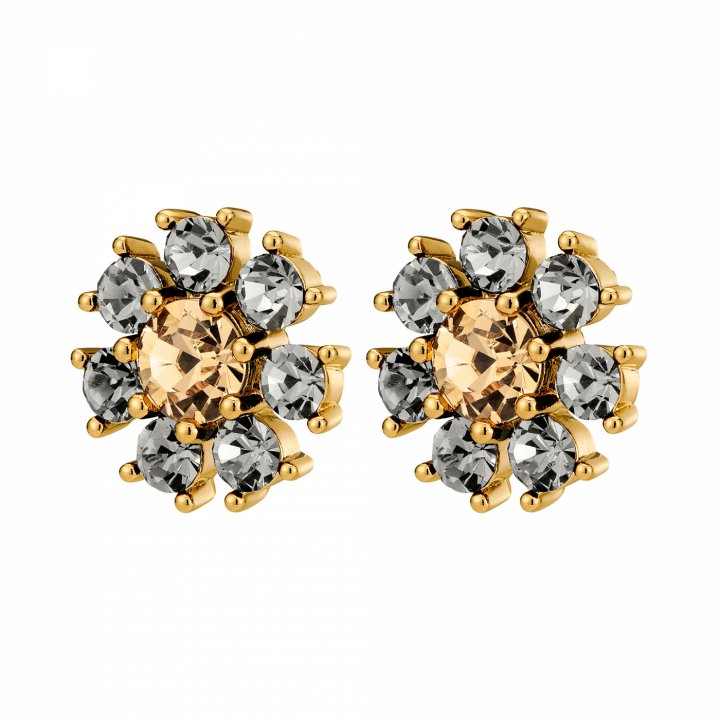 AUDE SG GREY /GOLDEN Earrings Gold in the group Earrings / Gold Earrings at SCANDINAVIAN JEWELRY DESIGN (450097)