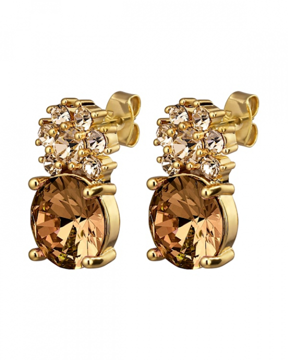 BECKIA SG BROWN / GOLDEN EARRINGS GOLD in the group Earrings / Gold Earrings at SCANDINAVIAN JEWELRY DESIGN (470097)