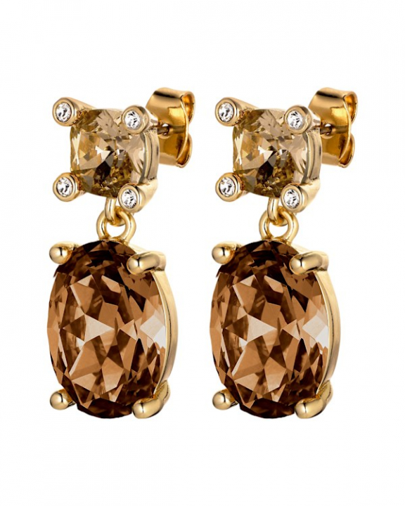 ANTONIA SG BROWN EARRINGS GOLD in the group Earrings / Gold Earrings at SCANDINAVIAN JEWELRY DESIGN (470147)