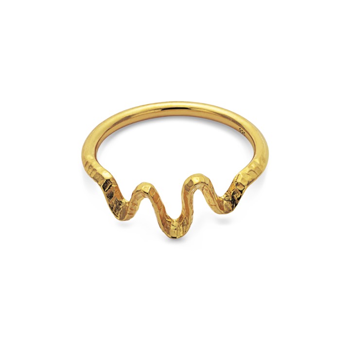 Sonar ring (Gold) in the group Rings / Gold Rings at SCANDINAVIAN JEWELRY DESIGN (4727a)