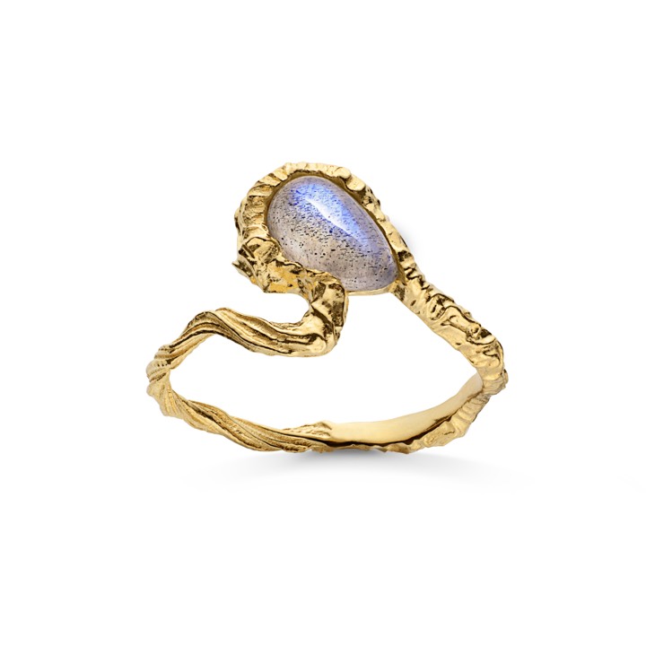 Alba ring (Gold) in the group Rings / Gold Rings at SCANDINAVIAN JEWELRY DESIGN (4736a)