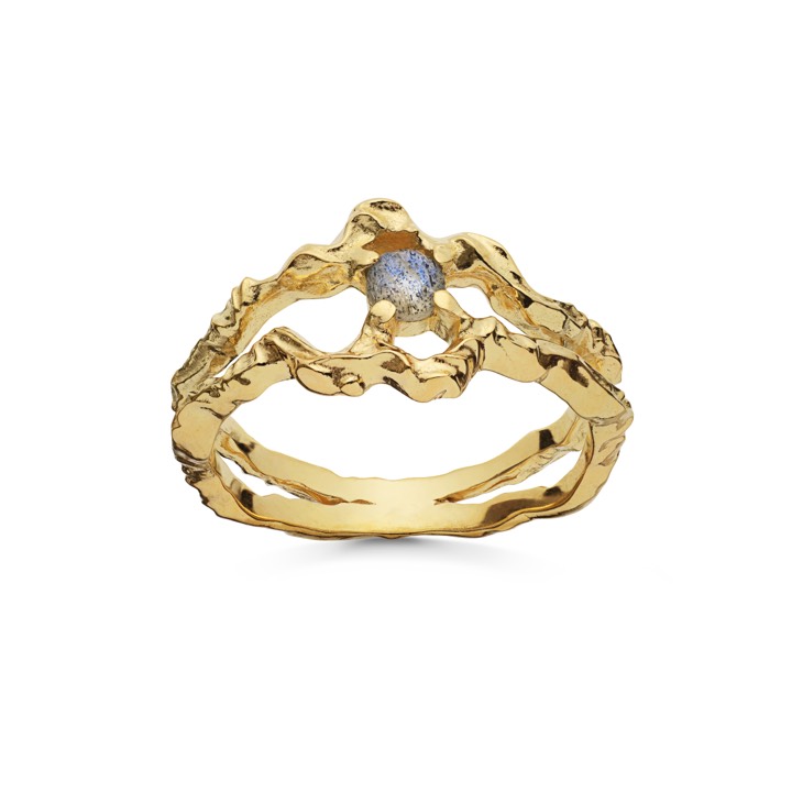 Shelly ring (Gold) in the group Rings / Gold Rings at SCANDINAVIAN JEWELRY DESIGN (4738a)